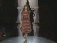 O�^�̎G�w�E����E�L���l�Ȃ�